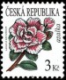 植物:欧洲:捷克:cz200803.jpg