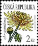 植物:欧洲:捷克:cz201101.jpg