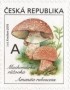 植物:欧洲:捷克:cz201801.jpg