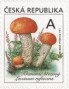 植物:欧洲:捷克:cz201802.jpg