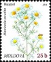植物:欧洲:摩尔多瓦:md201602.jpg