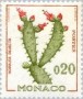 植物:欧洲:摩纳哥:mc196002.jpg