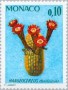 植物:欧洲:摩纳哥:mc197403.jpg