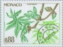 植物:欧洲:摩纳哥:mc198101.jpg