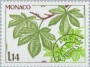 植物:欧洲:摩纳哥:mc198102.jpg