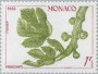 植物:欧洲:摩纳哥:mc198305.jpg