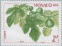 植物:欧洲:摩纳哥:mc198306.jpg