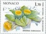 植物:欧洲:摩纳哥:mc198509.jpg