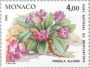 植物:欧洲:摩纳哥:mc198514.jpg