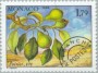 植物:欧洲:摩纳哥:mc198902.jpg