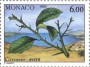 植物:欧洲:摩纳哥:mc199008.jpg