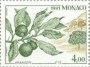 植物:欧洲:摩纳哥:mc199102.jpg