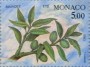 植物:欧洲:摩纳哥:mc199302.jpg