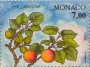 植物:欧洲:摩纳哥:mc199402.jpg
