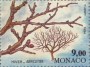 植物:欧洲:摩纳哥:mc199404.jpg