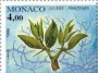 植物:欧洲:摩纳哥:mc199501.jpg