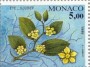 植物:欧洲:摩纳哥:mc199502.jpg