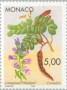 植物:欧洲:摩纳哥:mc199610.jpg