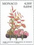 植物:欧洲:摩纳哥:mc199905.jpg