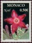 植物:欧洲:摩纳哥:mc200301.jpg