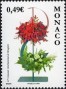 植物:欧洲:摩纳哥:mc200801.jpg