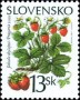植物:欧洲:斯洛伐克:sk200002.jpg