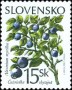 植物:欧洲:斯洛伐克:sk200003.jpg