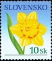 植物:欧洲:斯洛伐克:sk200601.jpg