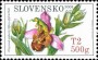 植物:欧洲:斯洛伐克:sk200802.jpg