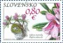 植物:欧洲:斯洛伐克:sk201001.jpg