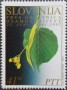 植物:欧洲:斯洛文尼亚:si199201.jpg