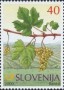 植物:欧洲:斯洛文尼亚:si200002.jpg