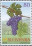 植物:欧洲:斯洛文尼亚:si200003.jpg