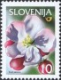植物:欧洲:斯洛文尼亚:si200007.jpg