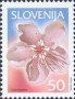 植物:欧洲:斯洛文尼亚:si200101.jpg