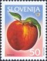 植物:欧洲:斯洛文尼亚:si200103.jpg