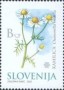 植物:欧洲:斯洛文尼亚:si200202.jpg