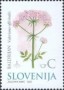 植物:欧洲:斯洛文尼亚:si200203.jpg