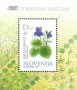 植物:欧洲:斯洛文尼亚:si200204.jpg