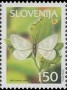 植物:欧洲:斯洛文尼亚:si200206.jpg