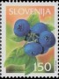 植物:欧洲:斯洛文尼亚:si200207.jpg