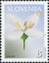 植物:欧洲:斯洛文尼亚:si200301.jpg