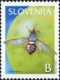 植物:欧洲:斯洛文尼亚:si200302.jpg