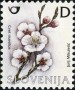 植物:欧洲:斯洛文尼亚:si200503.jpg