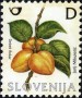 植物:欧洲:斯洛文尼亚:si200504.jpg