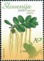 植物:欧洲:斯洛文尼亚:si200601.jpg