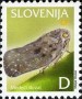植物:欧洲:斯洛文尼亚:si200605.jpg