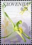 植物:欧洲:斯洛文尼亚:si200718.jpg