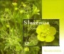 植物:欧洲:斯洛文尼亚:si200904.jpg