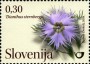 植物:欧洲:斯洛文尼亚:si201003.jpg